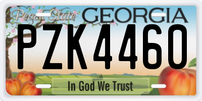 GA license plate PZK4460