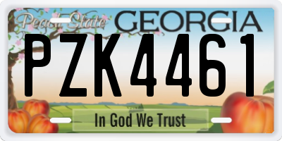 GA license plate PZK4461