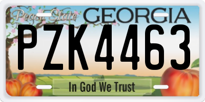 GA license plate PZK4463
