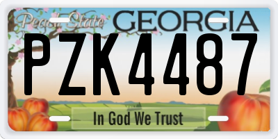 GA license plate PZK4487