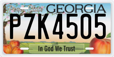 GA license plate PZK4505
