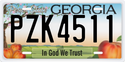 GA license plate PZK4511