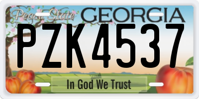 GA license plate PZK4537