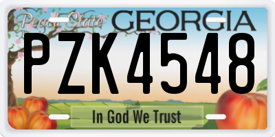GA license plate PZK4548