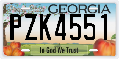 GA license plate PZK4551