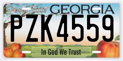 GA license plate PZK4559