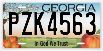 GA license plate PZK4563