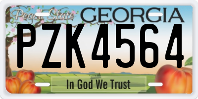 GA license plate PZK4564