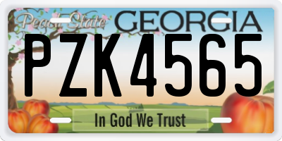 GA license plate PZK4565