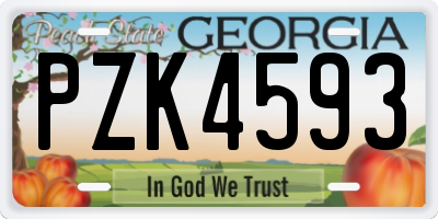 GA license plate PZK4593