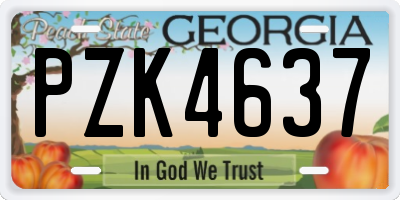 GA license plate PZK4637