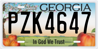 GA license plate PZK4647