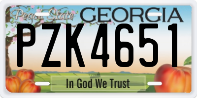 GA license plate PZK4651