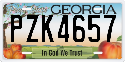 GA license plate PZK4657