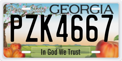 GA license plate PZK4667