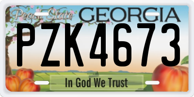 GA license plate PZK4673