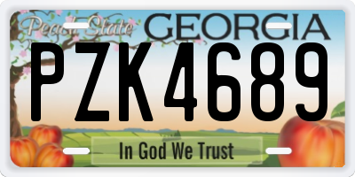 GA license plate PZK4689