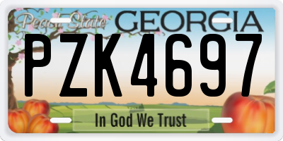 GA license plate PZK4697