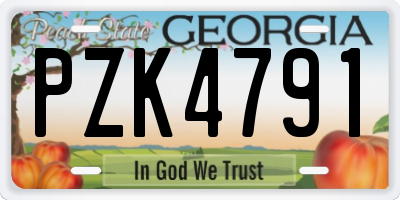 GA license plate PZK4791