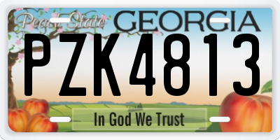 GA license plate PZK4813