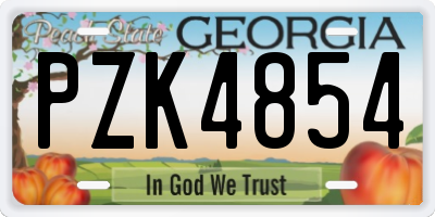 GA license plate PZK4854