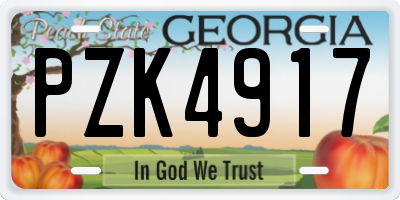 GA license plate PZK4917