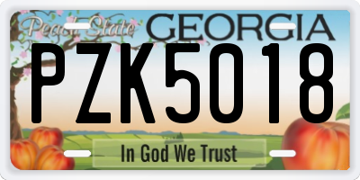 GA license plate PZK5018
