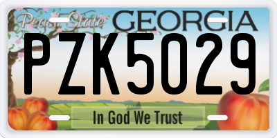 GA license plate PZK5029