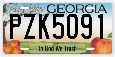 GA license plate PZK5091