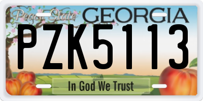 GA license plate PZK5113