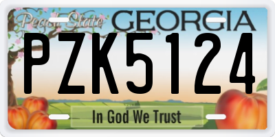GA license plate PZK5124