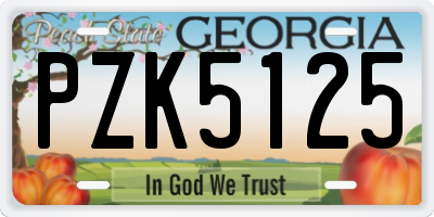 GA license plate PZK5125