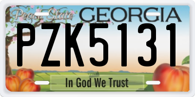GA license plate PZK5131