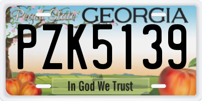 GA license plate PZK5139