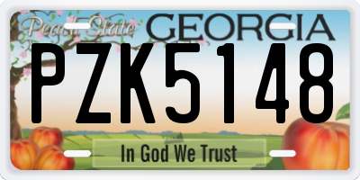 GA license plate PZK5148