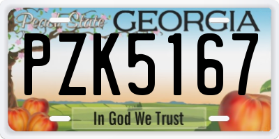 GA license plate PZK5167