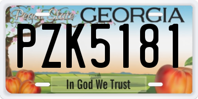 GA license plate PZK5181