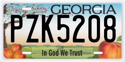 GA license plate PZK5208