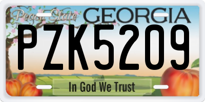 GA license plate PZK5209