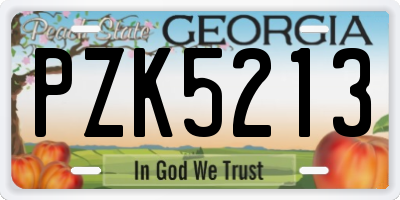 GA license plate PZK5213