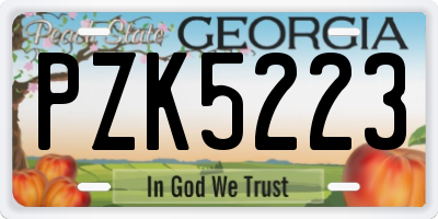 GA license plate PZK5223