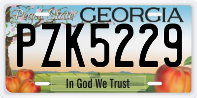 GA license plate PZK5229