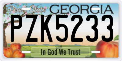 GA license plate PZK5233
