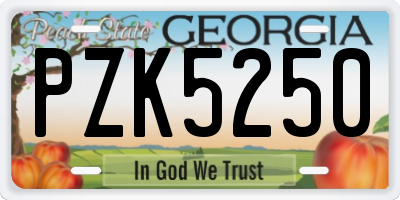 GA license plate PZK5250