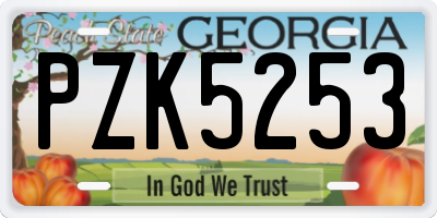 GA license plate PZK5253