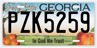 GA license plate PZK5259