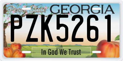 GA license plate PZK5261