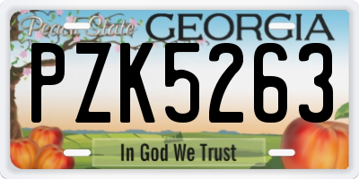 GA license plate PZK5263