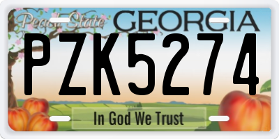 GA license plate PZK5274