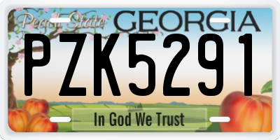 GA license plate PZK5291